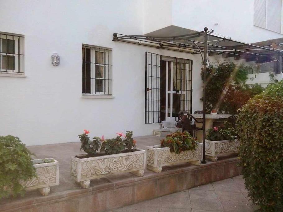 Apartamento Echando Anclas Barbate Ngoại thất bức ảnh
