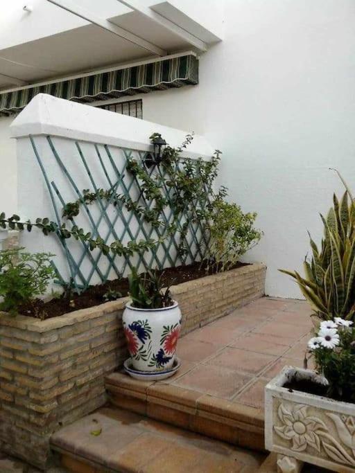 Apartamento Echando Anclas Barbate Ngoại thất bức ảnh