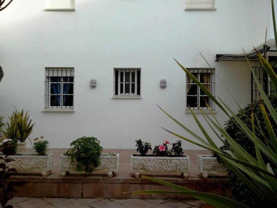 Apartamento Echando Anclas Barbate Ngoại thất bức ảnh